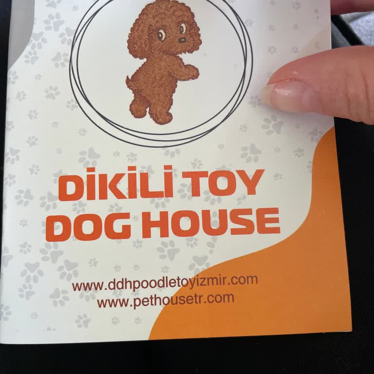 Dikili Toy Dog House Tarihi Geçmiş Aşı Uygulanması