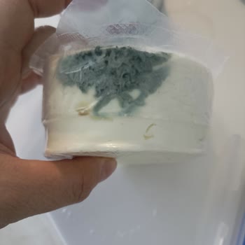 Küflü Peynir Şoku: Bahçıvan Gurme Beyaz Peynir Hayal Kırıklığı