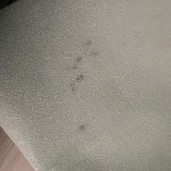 Halı Yıkama Hizmetinde Leke Çıkmaması Ve Saygısız İletişim