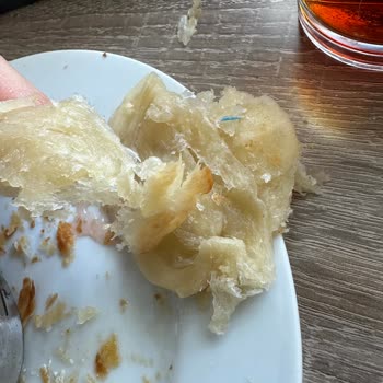 Dondurulmuş Boyozdan Çıkan Mavi Cisim Şoku