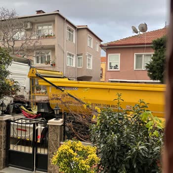 Dar Sokakta Hafriyat Kamyonlarının Tehlikeli Geçişi Ve Kirlilik Sorunu