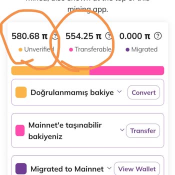 Pi Transferinde Yaşanan Sorun