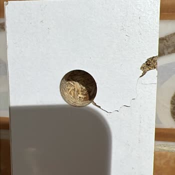 Koçtaş'tan Gelen Hasarlı Ürün Ve İade Çilesi