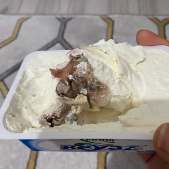 Marketten Alınan Beyaz Peynirde Küf Sorunu