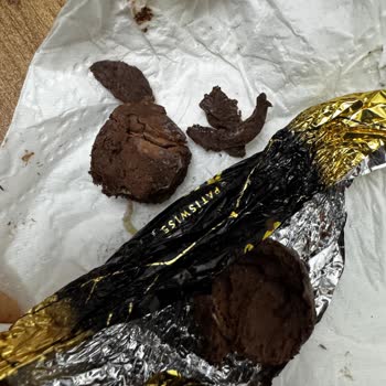 Çikolatamdan Kurt Çıktı!