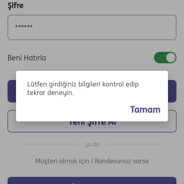 ING Mobil Uygulama Erişim Sorunu