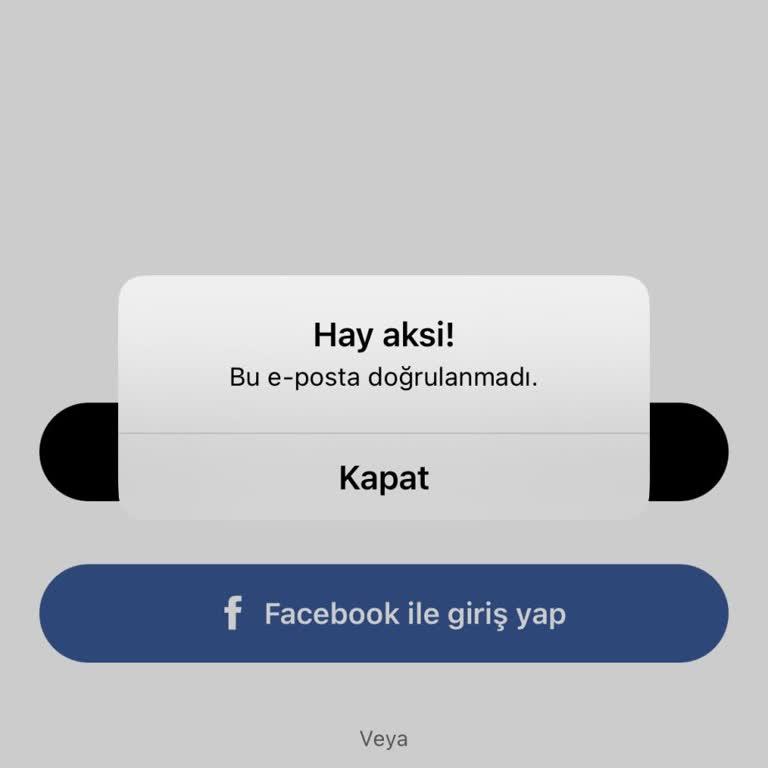 Hornet Hesabına Erişim Sorunu Ve Hotmail Doğrulama Problemi