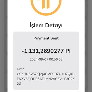 Pi Coinlerimin İzinsiz Aktarılması