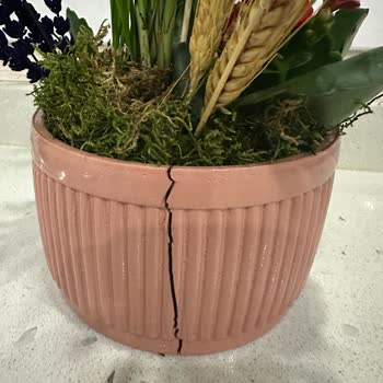 Çiçek Sepeti'nden Aldığım Vazo Kendiliğinden Çatladı, Çözüm Sunulmadı!