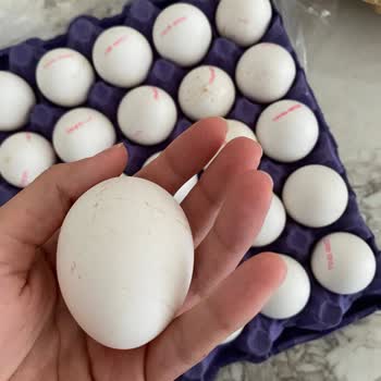 Kod Eksikliği Olan Yumurtalar