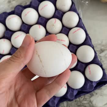 Kod Eksikliği Olan Yumurtalar