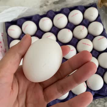 Kod Eksikliği Olan Yumurtalar