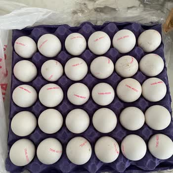 Kod Eksikliği Olan Yumurtalar