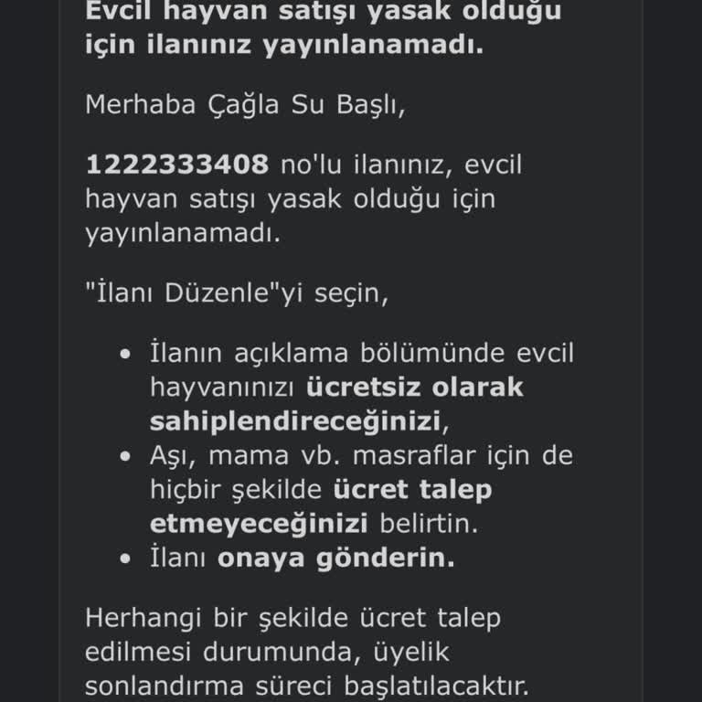 Ücretsiz Sahiplendirme İlanları Neden Kaldırılıyor?