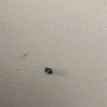 Dyson Süpürge Borusu Sorunları Ve İade Zorlukları