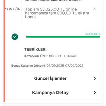 Bonus Puanlarım Neden Yüklenmedi?