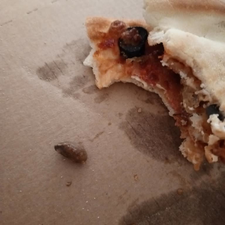 Soğuk Pizzalar Ve Eksik Sipariş: Domino's Siirt Deneyimi