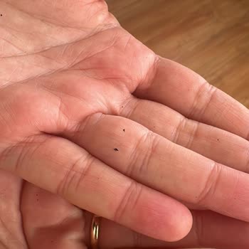 Bosch Fırınımın Boyası Dökülüyor Ve Sağlığımız Tehlikede!