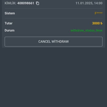 Sowinbet'te Hızlı Ödeme Garantisi Hayal Kırıklığı Yarattı