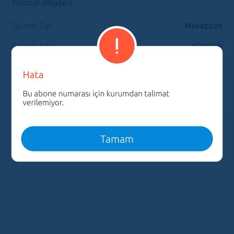 Otomatik Ödeme Talimatı Sorunu