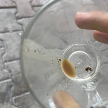 Jacobs Kahve'de Şok Edici Görüntü