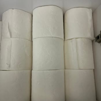 Maylo Tuvalet Kağıdı Hayal Kırıklığı