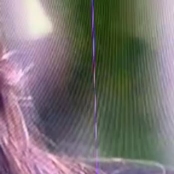 Samsung Televizyon Kurulum Sonrası Çizik Sorunu