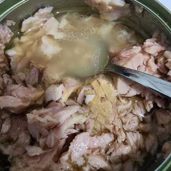 Zeytinyağlı Konserve: Su Gibi Tatsız Deneyim