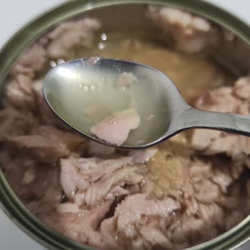Zeytinyağlı Konserve: Su Gibi Tatsız Deneyim
