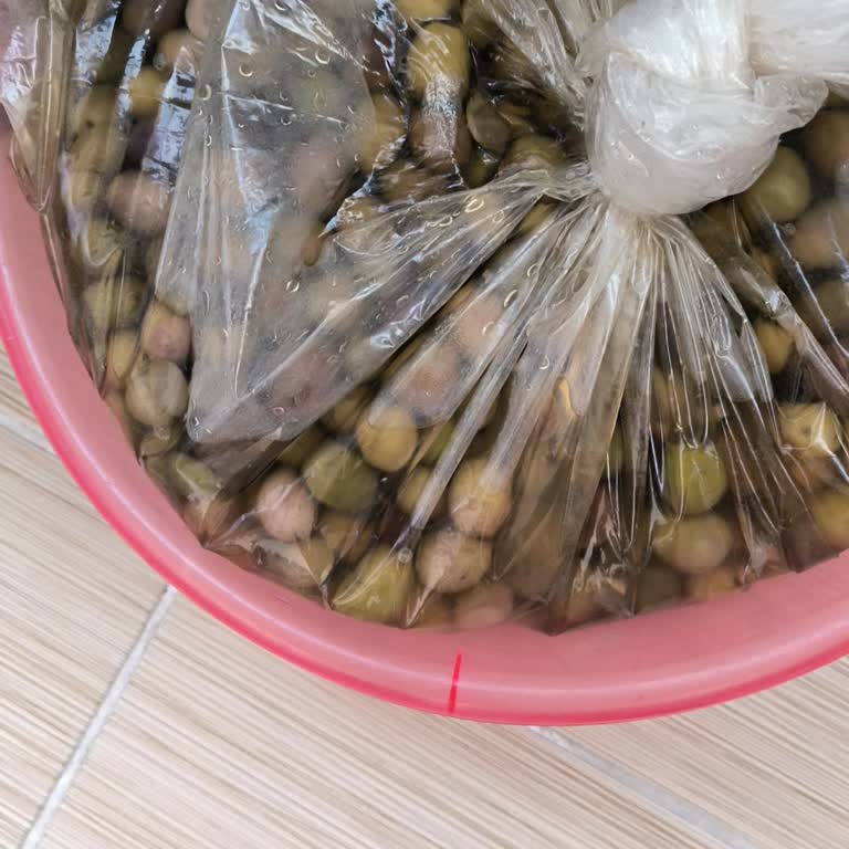 Olgunlaşmamış Zeytin Ve Yanıltıcı Renk Sorunu