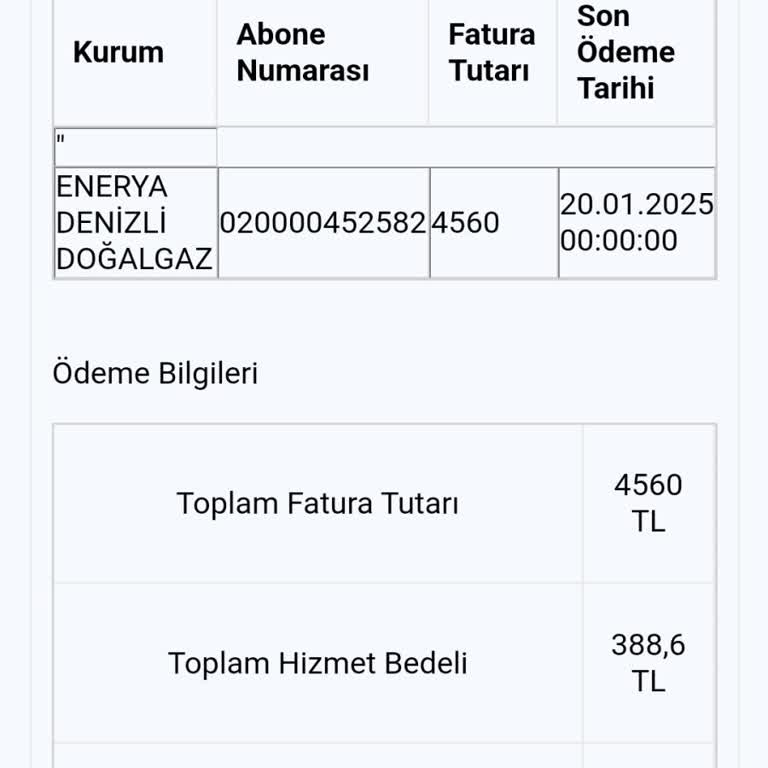 Enerji Faturası Ödeme Sorunu Ve Mağduriyet