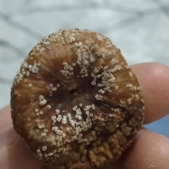 Bozuk Ürün Ve Sağlık Endişesi