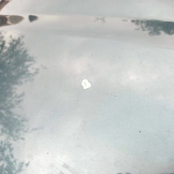 Fiat Boya Problemleri Ve Yetersiz Müşteri Hizmetleri!