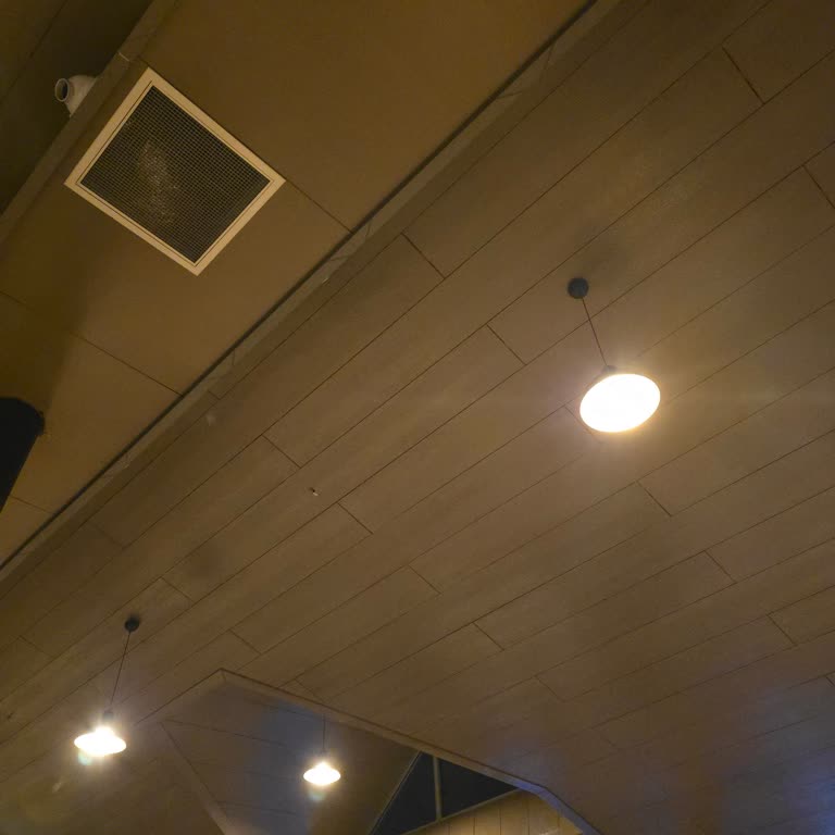 Samsung S24 Ultra Kamera Güncelleme Sorunu