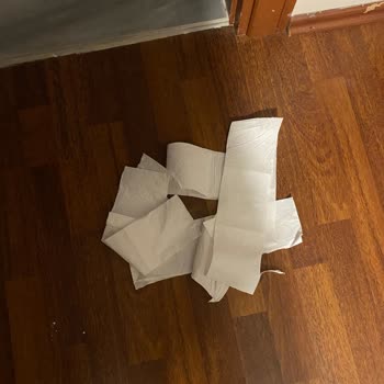 Kalite Beklentisini Karşılamayan Tuvalet Kağıdı Deneyimi