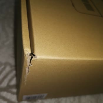 Dyson'dan İki Kez Kullanılmış Ürün Şoku: Güvenimiz Sarsıldı!