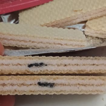 Gofretten Çıkan Şaşırtıcı Madde