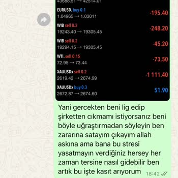 Yanıltıcı Yatırım Danışmanlığı İle Kaybedilen Bakiye