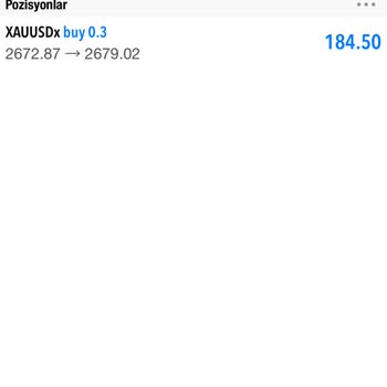 Yanıltıcı Yatırım Danışmanlığı İle Kaybedilen Bakiye