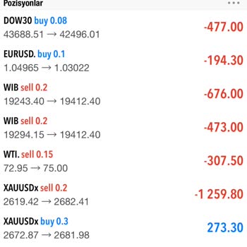 Yanıltıcı Yatırım Danışmanlığı İle Kaybedilen Bakiye