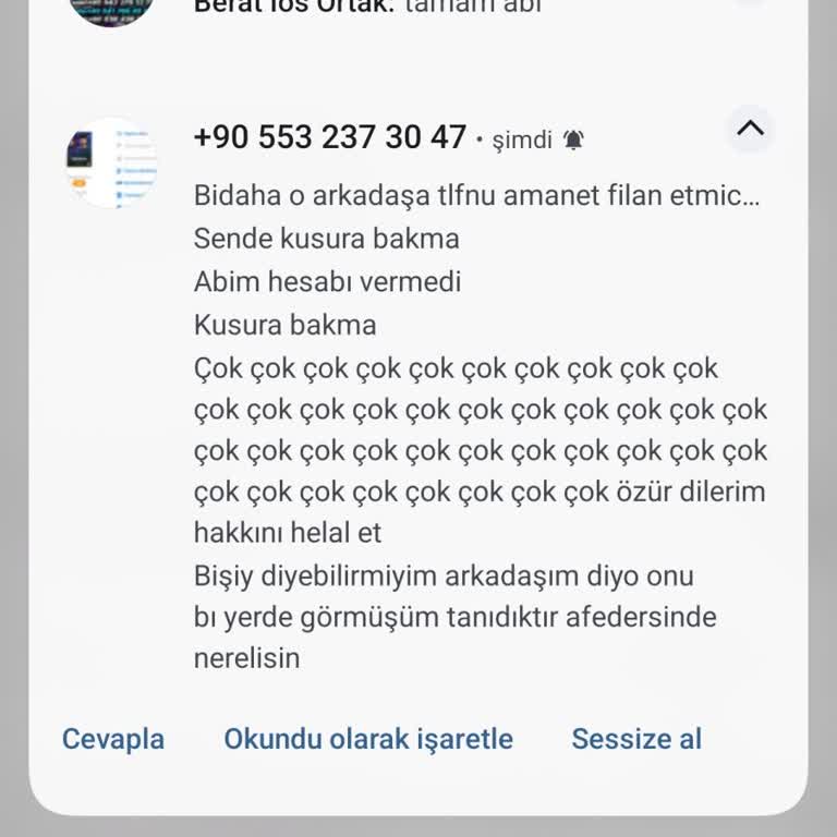 Doğrulama Kodu Alınamıyor: Oyun Gelişimi Tehlikede