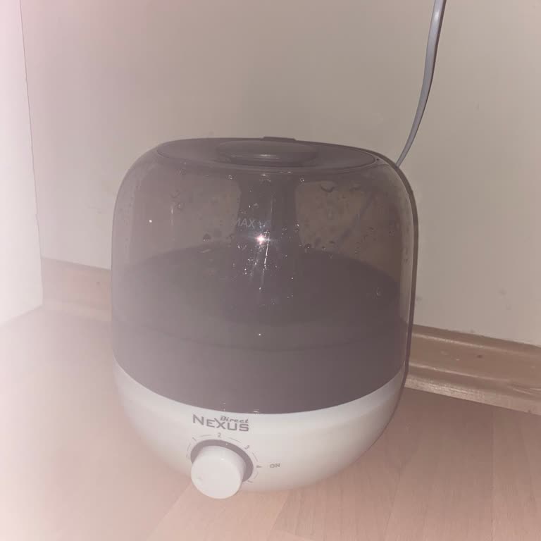 Direct Nexus Buhar Oda Nemlendirici Hayal Kırıklığı