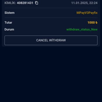 Vaycasino Güvenilir Olmayan Çekim İşlemi Ve Tehditler