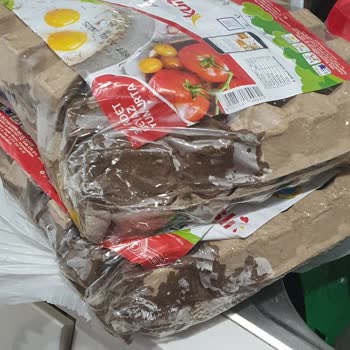 Kırık Yumurtalar Ve Bitmeyen İnceleme Süreci