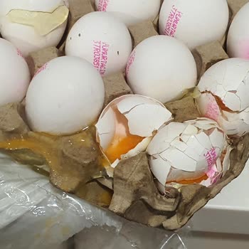 Kırık Yumurtalar Ve Bitmeyen İnceleme Süreci