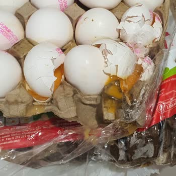 Kırık Yumurtalar Ve Bitmeyen İnceleme Süreci