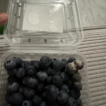 Migros Bozuk Ürün Ve İade Talebi