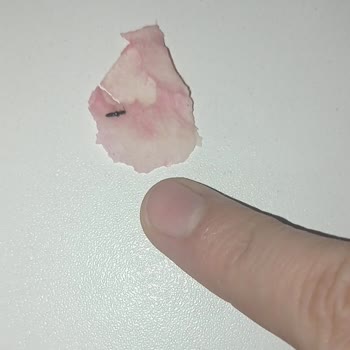 Hijyen Sorunu: Çiğköftede Siyah Noktalar Ve Temizlik Eksikliği