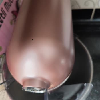 Karaca Hamur Yoğurma Makinesi Boya Sorunu