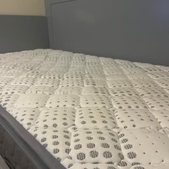 Bambi Yatakta Çökme Ve Dayanılmaz Sırt Ağrıları